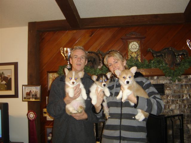 USA PUPPY's Has Arrived